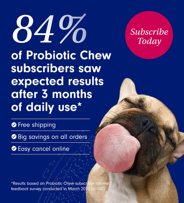 Probiotic Chew +